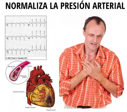 Incasol© - presión arterial normal desde el primer uso. Un resultado duradero