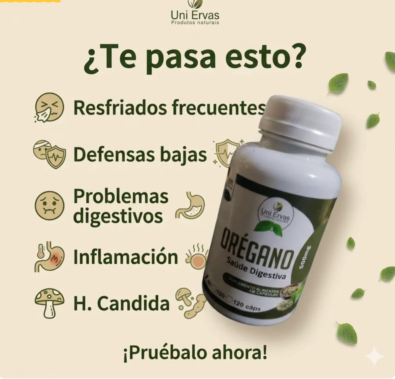 ACEITE DE OREGANO EN CAPSULAS 💊