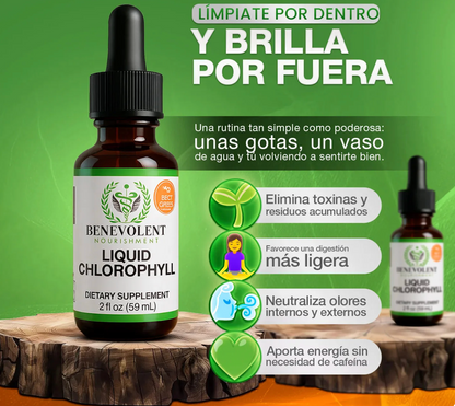 Clorofila líquida- Detox Pulmonar para Eliminar Toxinas, Flema y Alquitrán OFERTA ESTE MES 👩🏻‍⚕️ ✅ OFERTA 2X1 ✅