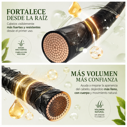 Rootiva™ – Barra Herbal Fortalecedora