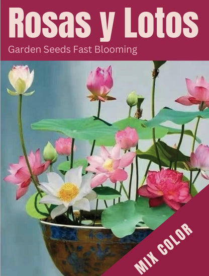 Semillas Mixtas de Rosasy amapolas Trepadoras